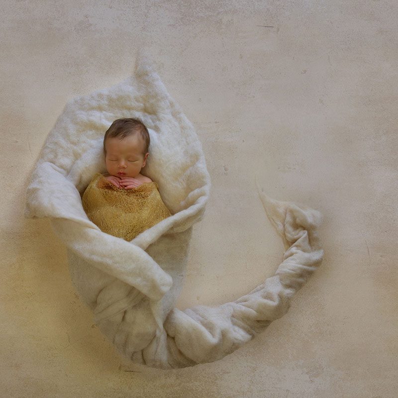 Newborn baby wrapped in a mustard blanket, lying inside a white wool curl on a neutral background