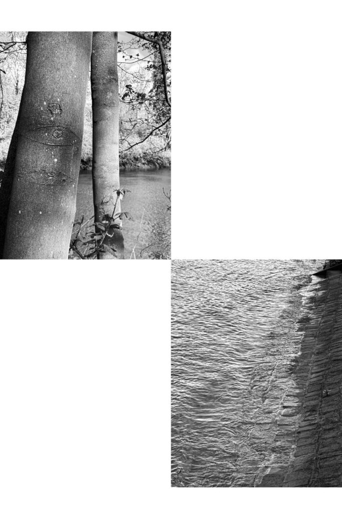 texture and shapes in nature: mindfulness and photography