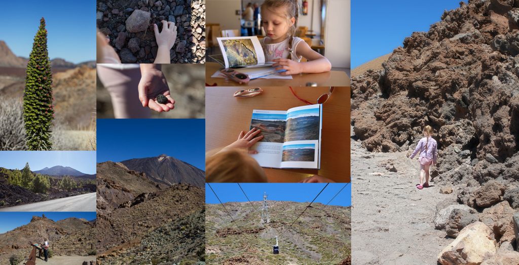 collage of summer holiday photography